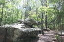 forêt des 3 Pignons